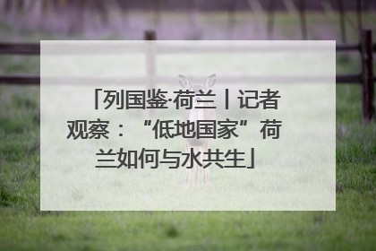 列国鉴·荷兰丨记者观察：“低地国家”荷兰如何与水共生