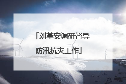 刘革安调研督导防汛抗灾工作