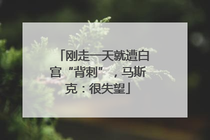 刚走一天就遭白宫“背刺”，马斯克：很失望