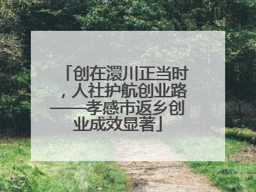 创在澴川正当时，人社护航创业路——孝感市返乡创业成效显著