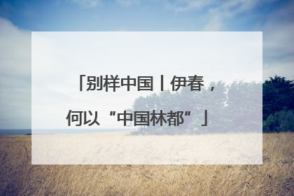 别样中国丨伊春，何以“中国林都”