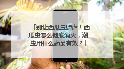 别让西瓜虫肆虐！西瓜虫怎么彻底消灭，潮虫用什么药最有效？