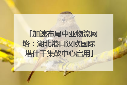 加速布局中亚物流网络：湖北港口汉欧国际塔什干集散中心启用