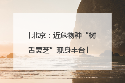 北京：近危物种“树舌灵芝”现身丰台