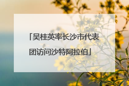 吴桂英率长沙市代表团访问沙特阿拉伯