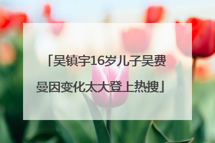 吴镇宇16岁儿子吴费曼因变化太大登上热搜