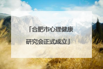合肥市心理健康研究会正式成立
