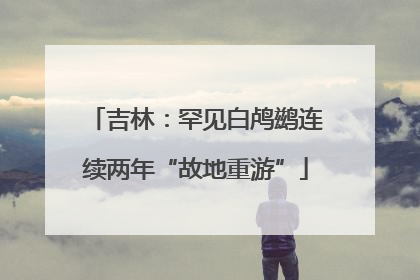 吉林：罕见白鸬鹚连续两年“故地重游”
