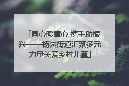 同心暖童心 携手助振兴——杨园街道汇聚多元力量关爱乡村儿童