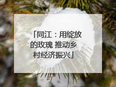同江：用绽放的玫瑰 推动乡村经济振兴