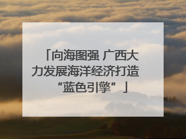 向海图强 广西大力发展海洋经济打造“蓝色引擎”