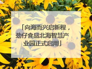 向海而兴启新程，劲仔食品北海智慧产业园正式启用