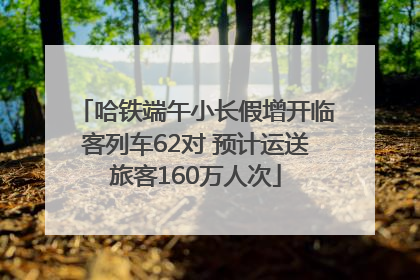 哈铁端午小长假增开临客列车62对 预计运送旅客160万人次