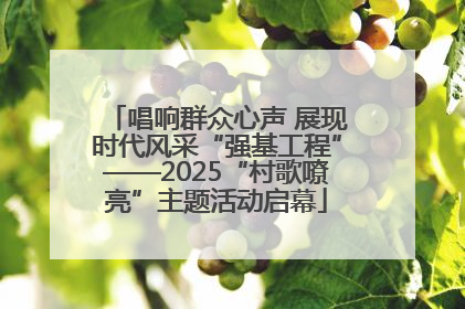 唱响群众心声 展现时代风采“强基工程”——2025“村歌嘹亮”主题活动启幕