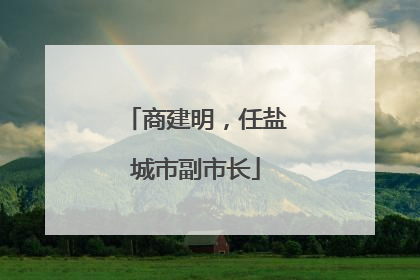 商建明，任盐城市副市长