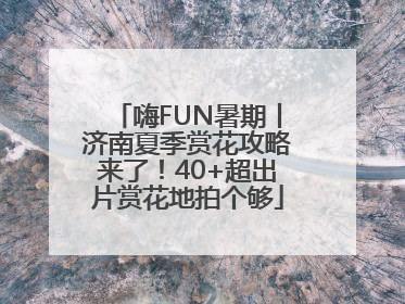 嗨FUN暑期丨济南夏季赏花攻略来了！40+超出片赏花地拍个够