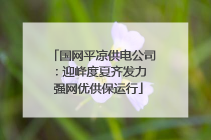 国网平凉供电公司：迎峰度夏齐发力 强网优供保运行