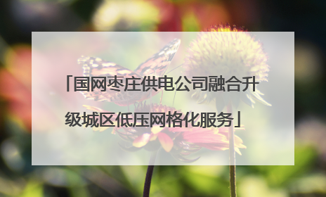 国网枣庄供电公司融合升级城区低压网格化服务