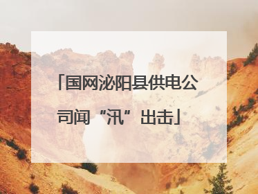 国网泌阳县供电公司闻“汛”出击