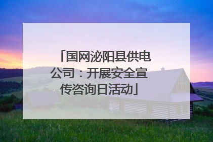 国网泌阳县供电公司：开展安全宣传咨询日活动