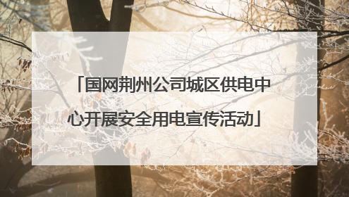 国网荆州公司城区供电中心开展安全用电宣传活动