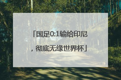 国足0:1输给印尼，彻底无缘世界杯