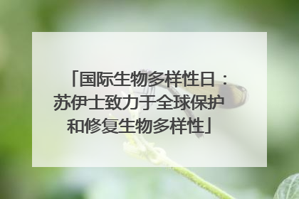 国际生物多样性日：苏伊士致力于全球保护和修复生物多样性