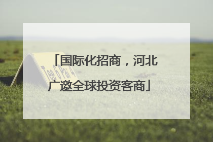 国际化招商，河北广邀全球投资客商