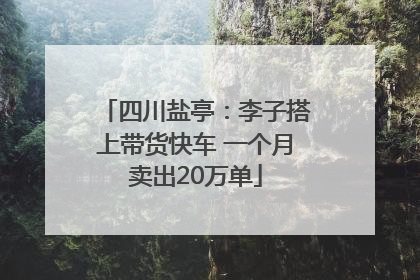 四川盐亭：李子搭上带货快车 一个月卖出20万单
