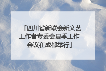 四川省新联会新文艺工作者专委会夏季工作会议在成都举行