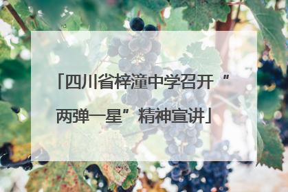 四川省梓潼中学召开“两弹一星”精神宣讲