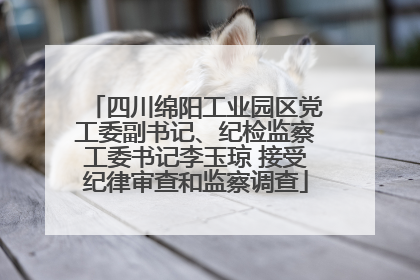四川绵阳工业园区党工委副书记、纪检监察工委书记李玉琼 接受纪律审查和监察调查