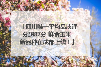 四川唯一平均品质评分超87分 鲜食玉米新品种在成都上线！