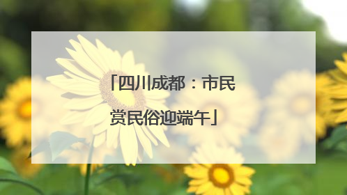 四川成都：市民赏民俗迎端午