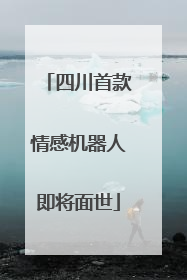 四川首款情感机器人即将面世