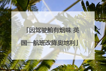因驾驶舱有烟味 英国一航班改降奥地利