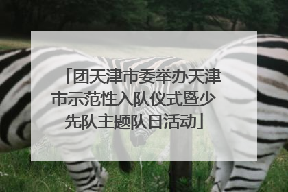 团天津市委举办天津市示范性入队仪式暨少先队主题队日活动