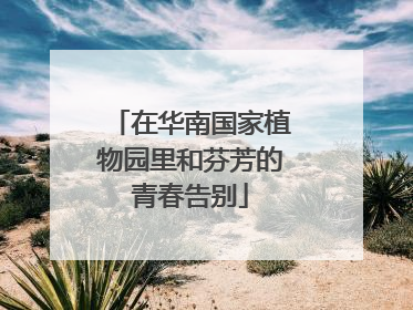 在华南国家植物园里和芬芳的青春告别