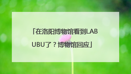 在洛阳博物馆看到LABUBU了？博物馆回应