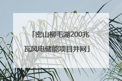 密山柳毛湖200兆瓦风电储能项目并网