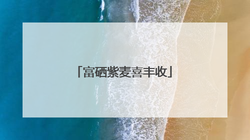 富硒紫麦喜丰收
