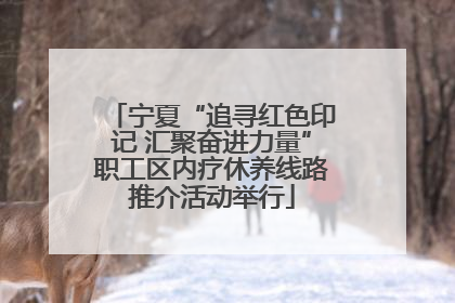 宁夏“追寻红色印记 汇聚奋进力量”职工区内疗休养线路推介活动举行