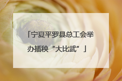 宁夏平罗县总工会举办插秧“大比武”