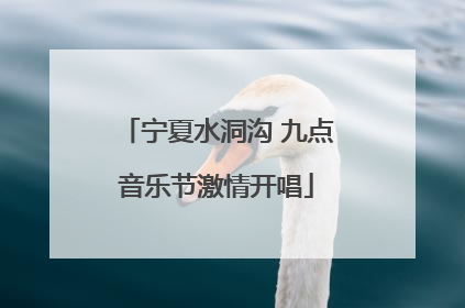 宁夏水洞沟 九点音乐节激情开唱