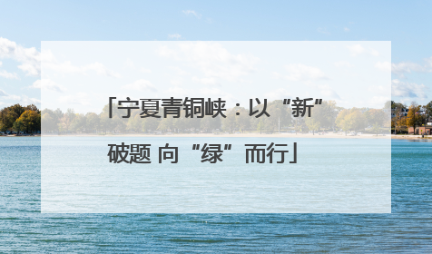 宁夏青铜峡：以“新”破题 向“绿”而行