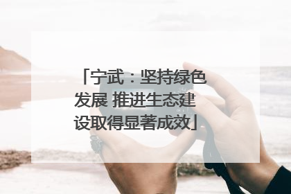 宁武：坚持绿色发展 推进生态建设取得显著成效