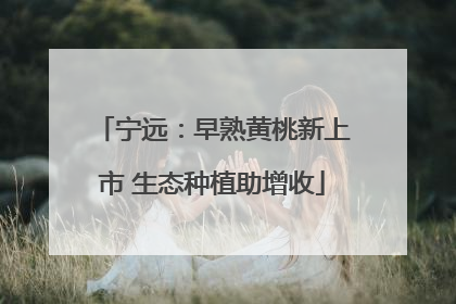 宁远：早熟黄桃新上市 生态种植助增收