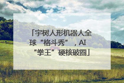 宇树人形机器人全球“格斗秀”，AI“拳王”硬核破圈