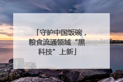 守护中国饭碗，粮食流通领域“黑科技”上新