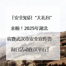 安全知识“大礼包”来啦！2025年湖北省暨武汉市安全宣传咨询日活动在汉举行